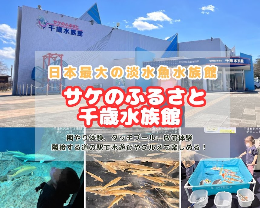 サケのふるさと千歳水族館　サーモンパーク　ブログ