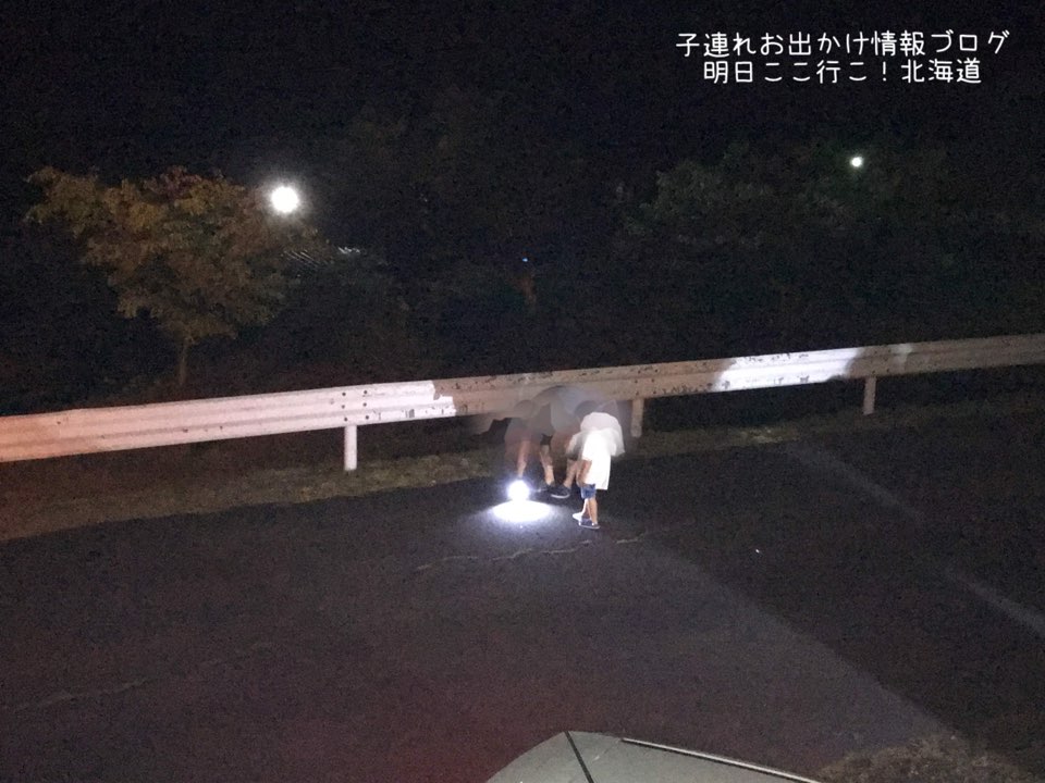 f:id:mira5507:20180809085001j:image