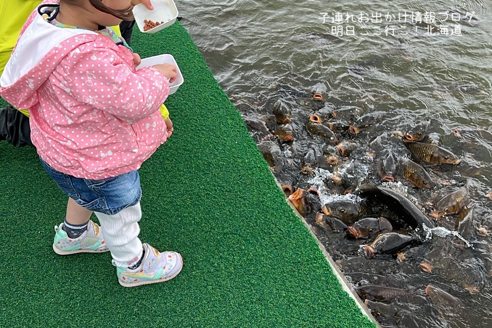 f:id:mira5507:20220525205607j:image