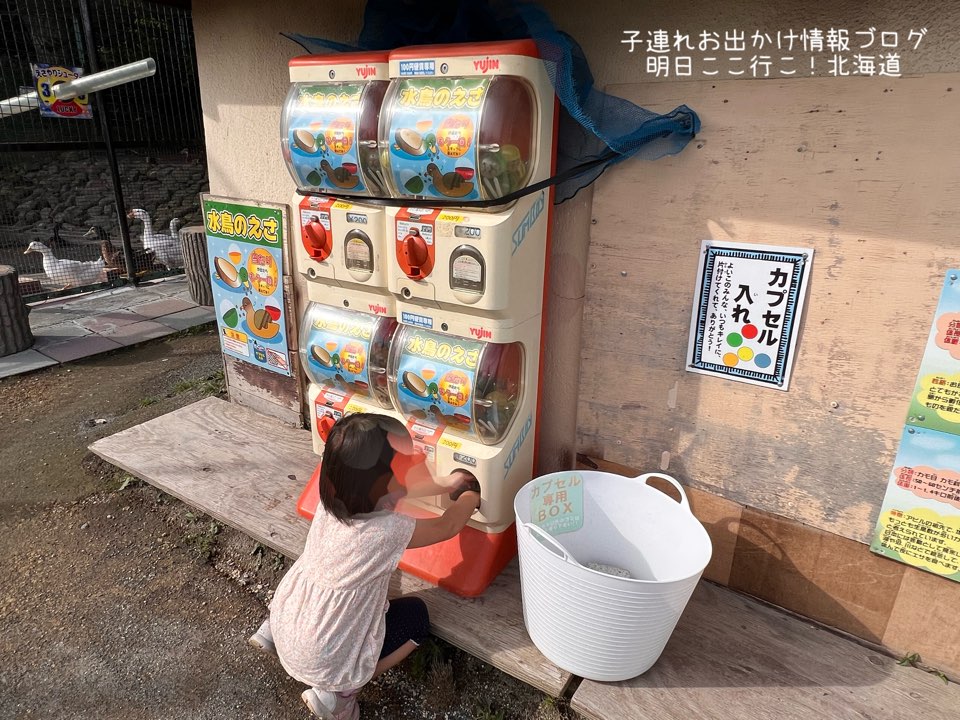 f:id:mira5507:20231119194357j:image