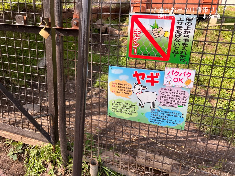 f:id:mira5507:20231119184311j:image